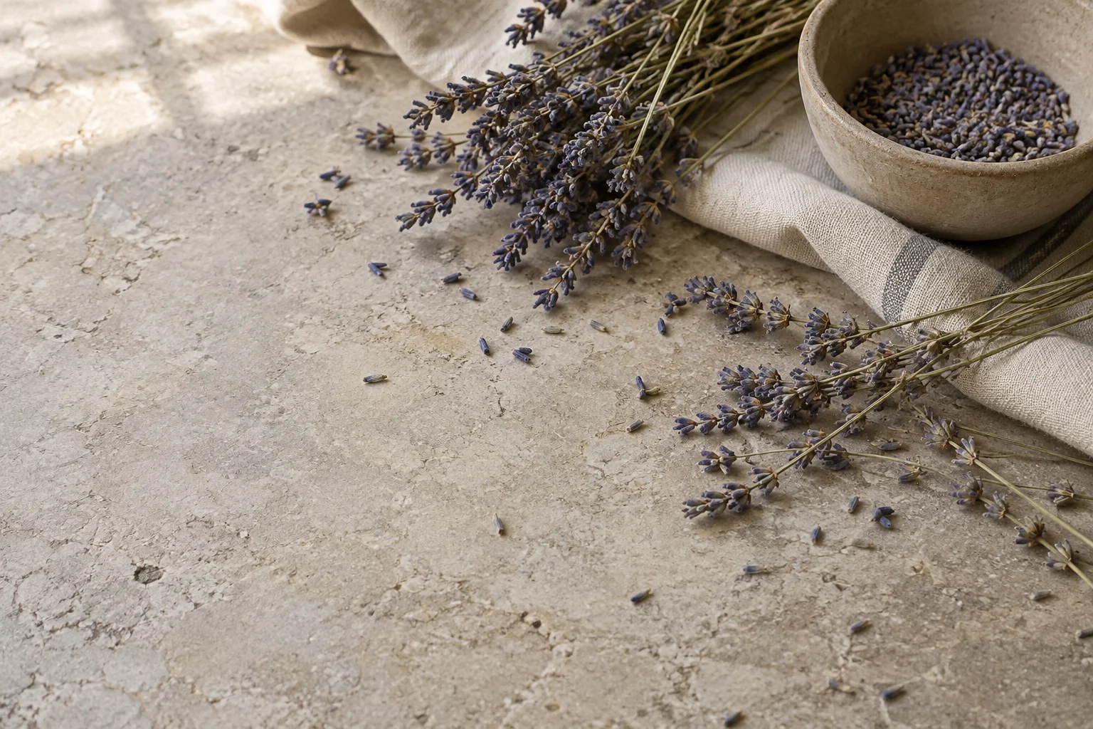 Dried lavender in warm evening light